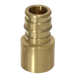1/2 Inch Pex-A Expansion Female Sweat Adapter