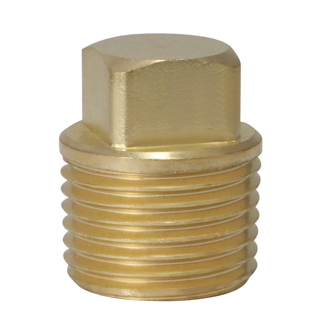 1/2 Inch Male Plug Square Head