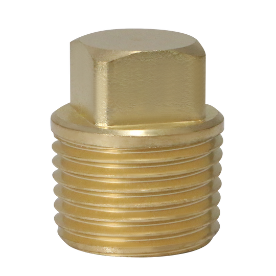 1/2 Inch Male Plug Square Head