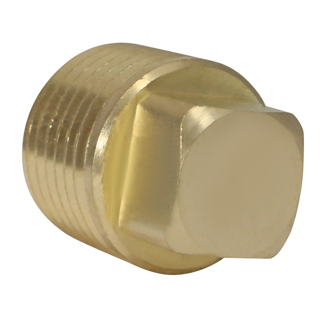 1/2 Inch Male Plug Square Head