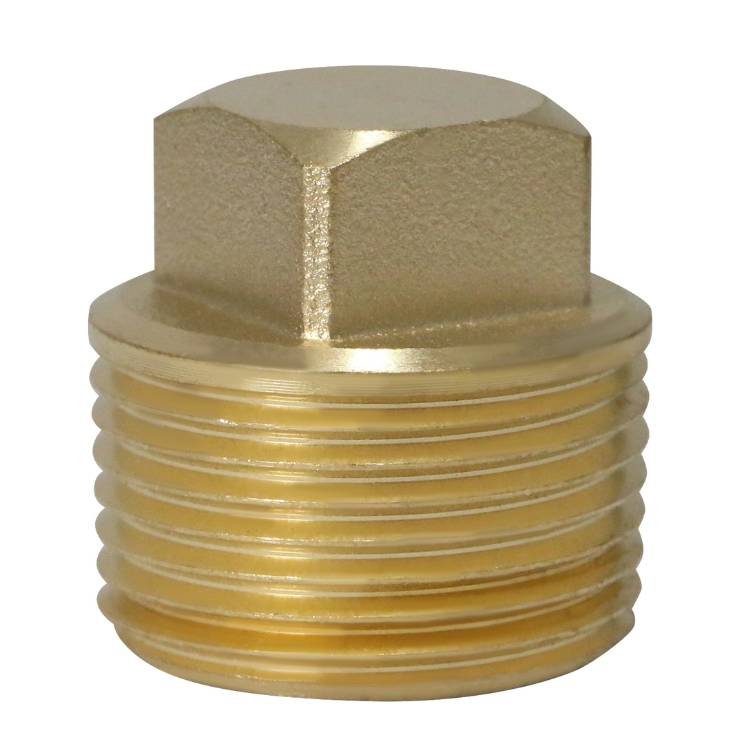 3/4 Inch Male NPT Plug Square Head