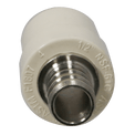 1/2 Inch PEX-B Barb X 1/2 Inch CPVC Transition Coupling