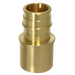 1 Inch Pex-A Expansion Female Sweat Adapter