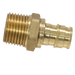 1/2 Inch Pex-A Expansion Male NPT
