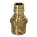 1/2 Inch Pex-A Expansion Male NPT