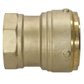 2 Inch Push-to-Connect Female Adapter