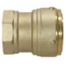 2 Inch Push-to-Connect Female Adapter