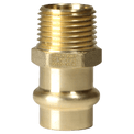 1/2 Inch Press MNPT Coupling