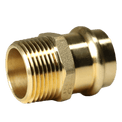 1 Inch Press Male MNPT Coupling