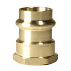 3/4 Inch Press x 3/4 Inch Female NPT Adapter