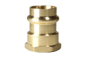 3/4 Inch Press x 3/4 Inch Female NPT Adapter