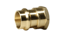 3/4 Inch Press x 3/4 Inch Female NPT Adapter