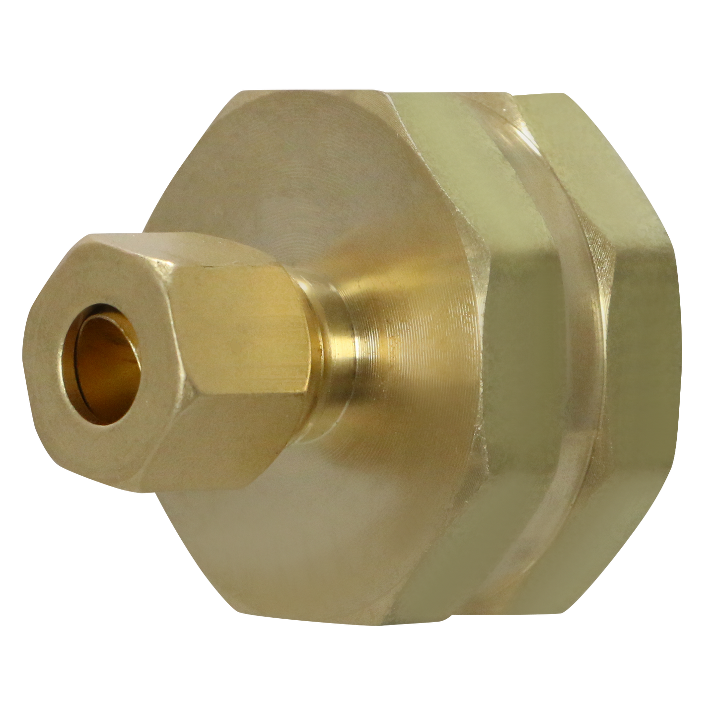 1/4 Inch OD Compression x 3/4 Inch Female NHT with Washer