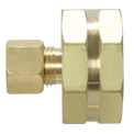 1/4 Inch OD Compression x 3/4 Inch Female NHT with Washer