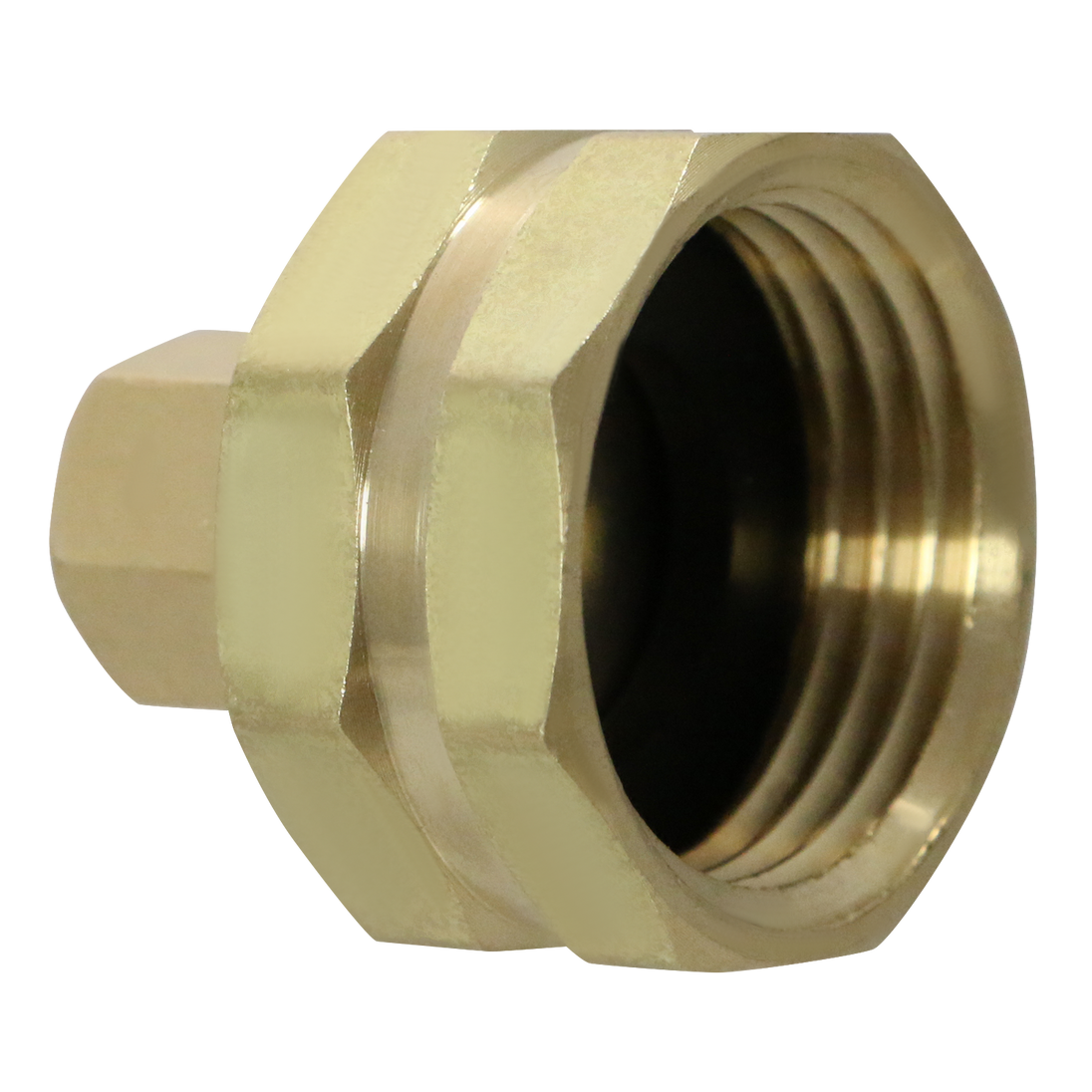 1/4 Inch OD Compression x 3/4 Inch Female NHT with Washer