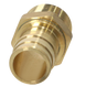 1 Inch Pex-A Expansion Male NPT