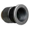 3/4 Inch Push-to-Connect Female Adapter, PPSU, Plastic