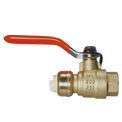 1/2 Inch Push-to-Connect Female Ball Valve