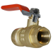 1/2 Inch Push-to-Connect Female Ball Valve