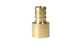 1/2 inch PEX-B Barb x 1/2 inch Female Sweat Adapter