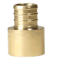 3/4 inch PEX-B Barb x 3/4 inch Female Sweat Adapter