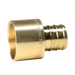 3/4 inch PEX-B Barb x 3/4 inch Female Sweat Adapter