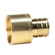 3/4 inch PEX-B Barb x 3/4 inch Female Sweat Adapter