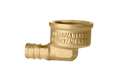 1/2 inch PEX-B Barb x 3/4 inch FNPT Elbow