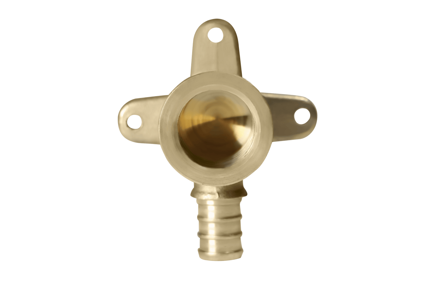 1/2 inch PEX-B Barb x 1/2 inch FNPT Elbow Drop Ear