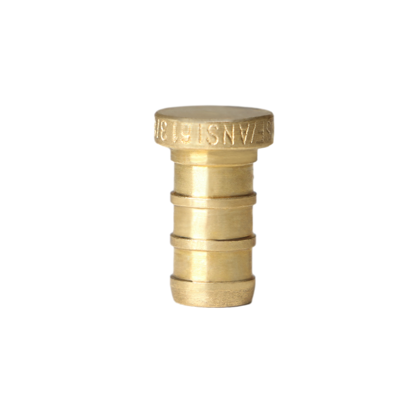 3/8 inch PEX-B Barb Plug