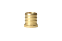3/4 inch PEX-B Barb Plug
