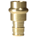 1/2 Inch Pex-A Expansion x 1/2 Inch Press Coupling