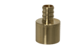 1/2 inch PEX-B Barb x 3/4 inch Female Sweat Adapter
