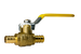 1/2 Inch PEX-B Barb Crimp Ball Valve