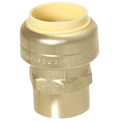 3/4 Inch Push-to-Connect x 1/2 inch Female Adapter