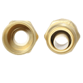 3/4 inch Push-to-Connect x 1 inch Female Adapter