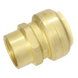 1 inch Push-to-Connect x 3/4 inch Female Adapter