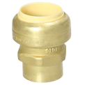 1 inch Push-to-Connect x 3/4 inch Female Adapter
