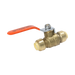 Push-to-Connect 1/2 Inch x 1/2 Inch Ball Valve