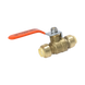 Push-to-Connect 1/2 Inch x 1/2 Inch Ball Valve