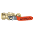 Push-to-Connect 3/4 Inch x 3/4 Inch Ball Valve