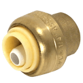 1/4 inch Push-to-Connect End Cap