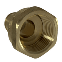 Pex-A Expansion 3/4 Inch x 1 Inch Female NPT