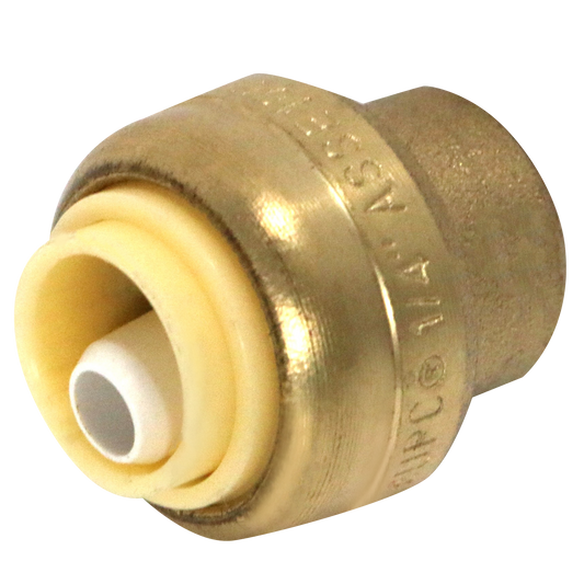 Push Fit Plug End Cap Push to Connect End Cap Measuring 1/4 inch Push Fit End Cap Specifically Push Fit End Cap